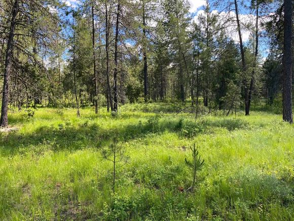 Xx W Montgomery Rd Deer Park, WA Plot of land Active - Photo 1 of 11. Opens carousel modal