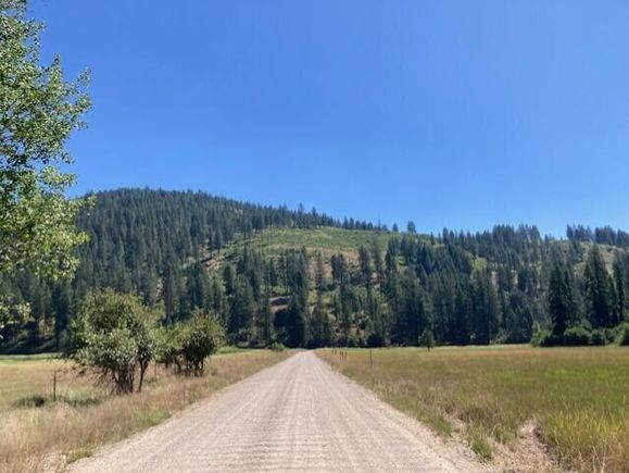 25xx Hall Creek Rd Inchelium, WA Plot of land Active - Photo 1 of 28. Opens carousel modal