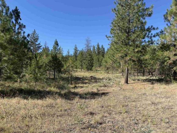 000 Tbd Rd Davenport, WA Land Active - Photo 1 of 9. Opens carousel modal