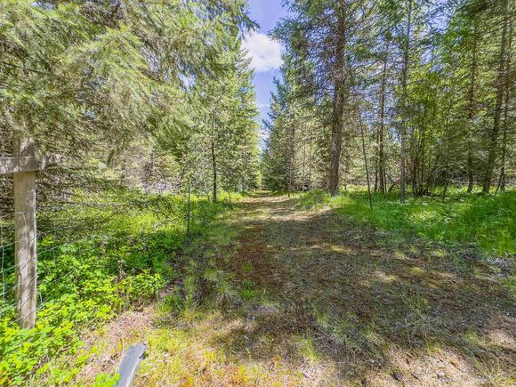 351 Stohr Rd Newport, WA Plot of land Active - Photo 1 of 20. Opens carousel modal