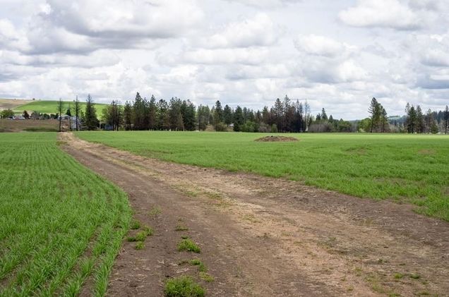 Nka Lambridge Lane Lot 4 Ln Medical Lake, WA Plot of land Active - Photo 1 of 5. Opens carousel modal