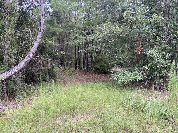 0 Edisto River Road Branchville, SC Plot of land Sold - Photo 1 of 5. Opens carousel modal