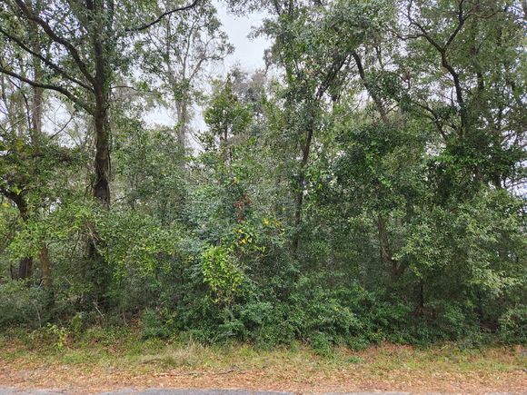 203 6th Avenue Mount Pleasant, SC Plot of land Sold - Photo 1 of 1. Opens carousel modal