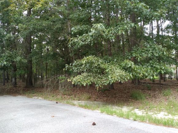 Lot 4 Lake Breeze Elloree, SC Plot of land Active - Photo 1 of 3. Opens carousel modal