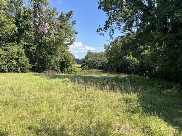 1018 Mamie Street Charleston, SC Plot of land Sold - Photo 1 of 5. Opens carousel modal