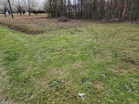 0 Andrew Mills Road Lamar, SC Plot of land Sold - Photo 1 of 7. Opens carousel modal