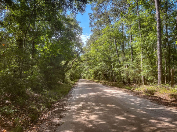 2127 Leadenwah Drive Wadmalaw Island, SC Plot of land Sold - Photo 1 of 7. Opens carousel modal