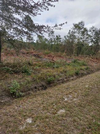 000 Rehoboth Road Cottageville, SC Land Active - Photo 1 of 1. Opens carousel modal