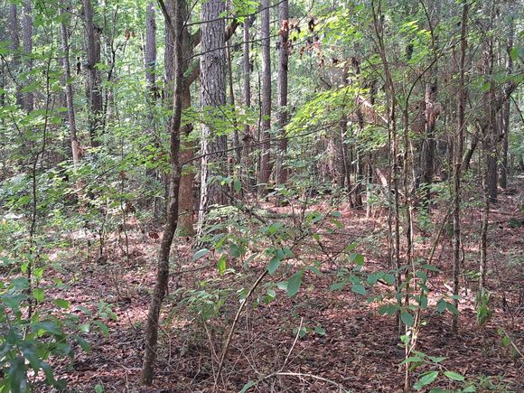 01 Foreever Eclipse Ln Cross, SC Plot of land Active - Photo 1 of 3. Opens carousel modal