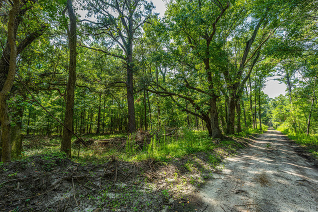 0 Geneva Shaw Lane Wadmalaw Island, SC Plot of land Active - Photo 1 of 10. Opens carousel modal