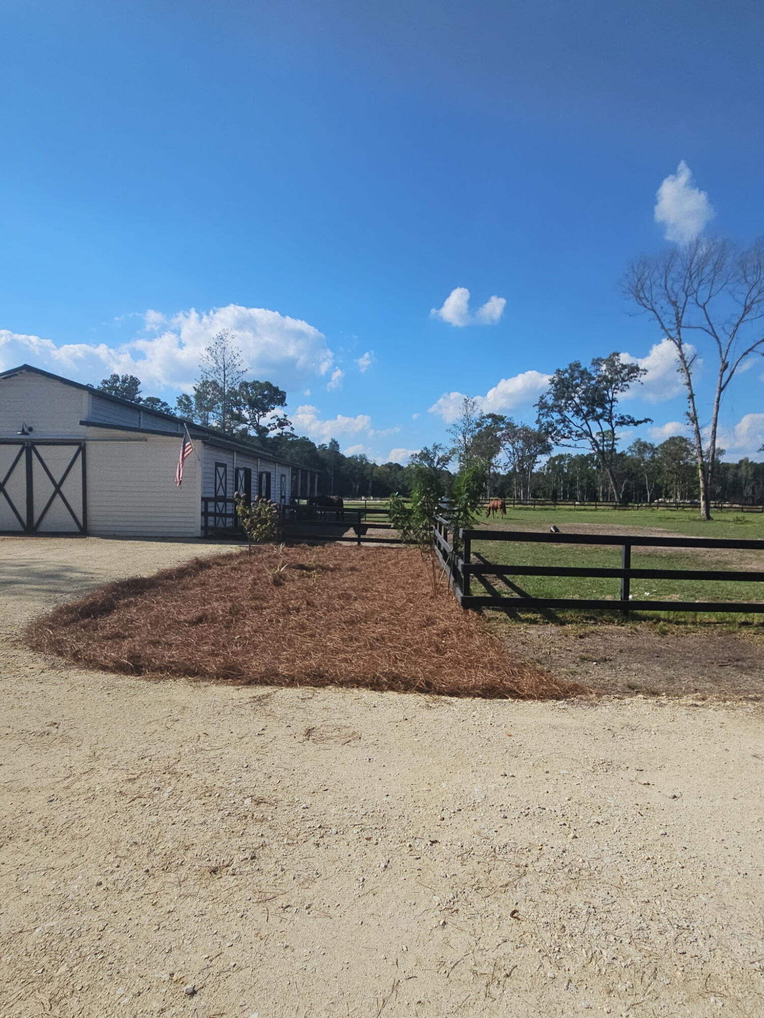 0 Placid Dr, McClellanville, SC 29458 | MLS# 26028850