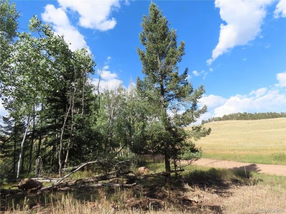 471 Horseshoe Trail Florissant, CO Land Active - Photo 1 of 18. Opens carousel modal