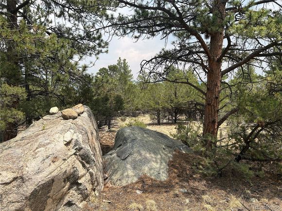 30160 Princeton Circle Buena Vista, CO Land Active - Photo 1 of 14. Opens carousel modal