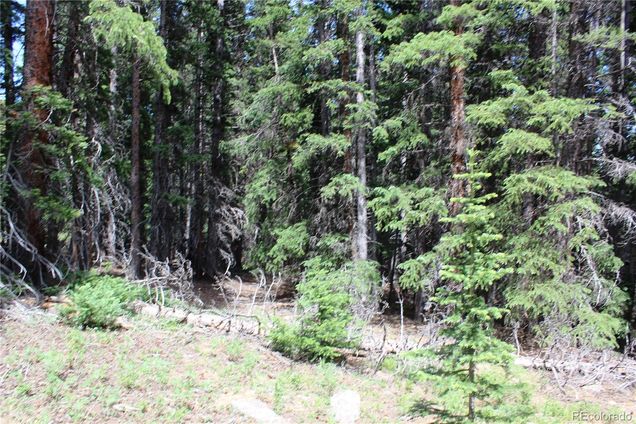 Group 13 Lamartine Road Idaho Springs, CO Plot of land Active - Photo 1 of 23. Opens carousel modal