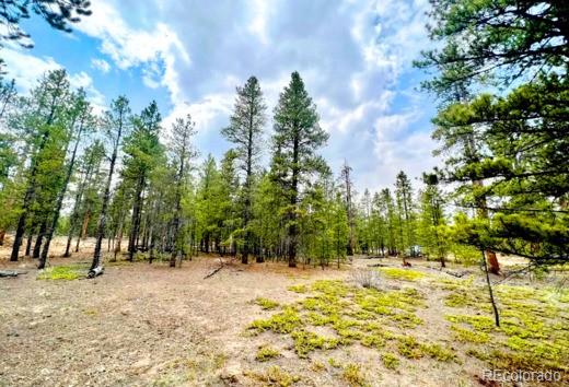 275 Mt Elbert Drive Leadville, CO Plot of land Sold - Photo 1 of 11. Opens carousel modal