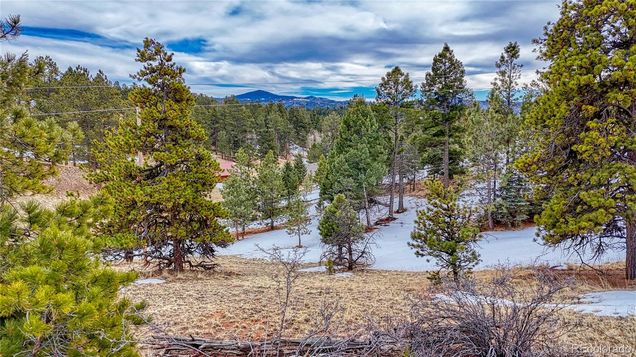 54 Southgate Road Florissant, CO Land Active - Photo 1 of 23. Opens carousel modal