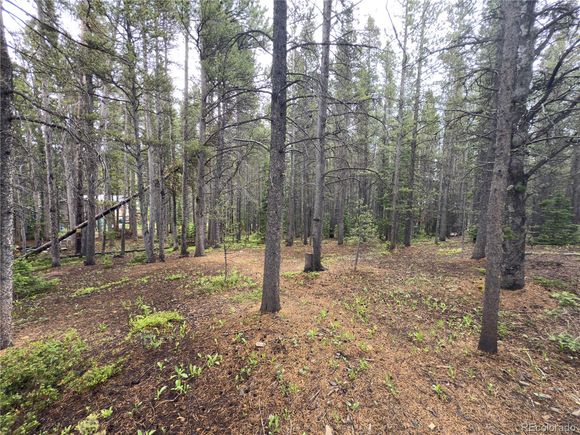 Lot 285 Lower Forest Road Idaho Springs, CO Plot of land Active - Photo 1 of 21. Opens carousel modal