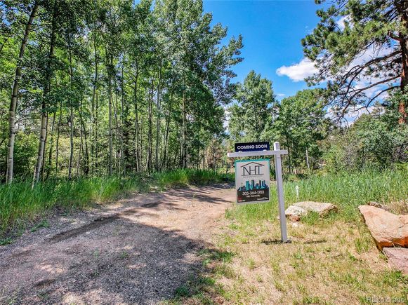 12286 Styve Road Conifer, CO Land Active - Photo 1 of 30. Opens carousel modal