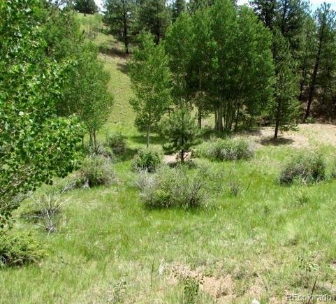 407 El Paso Court Cripple Creek, CO Land Active - Photo 1 of 41. Opens carousel modal