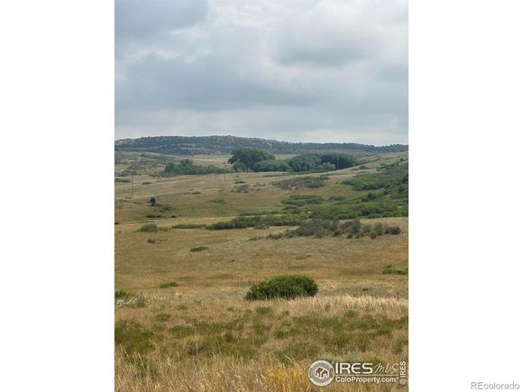 124 Springs Ranch Road Laporte, CO Land Active - Photo 1 of 15. Opens carousel modal