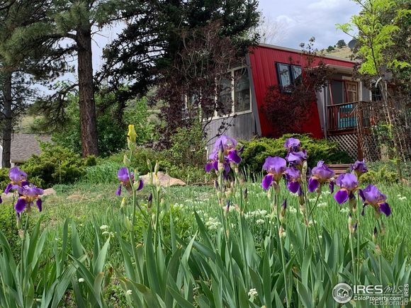 12041 Twilight Street Longmont, CO House Active - Photo 1 of 38. Opens carousel modal