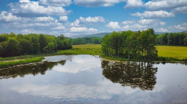 0 Toad Hollow Road Mansfield, NY Plot of land Active - Photo 1 of 45. Opens carousel modal