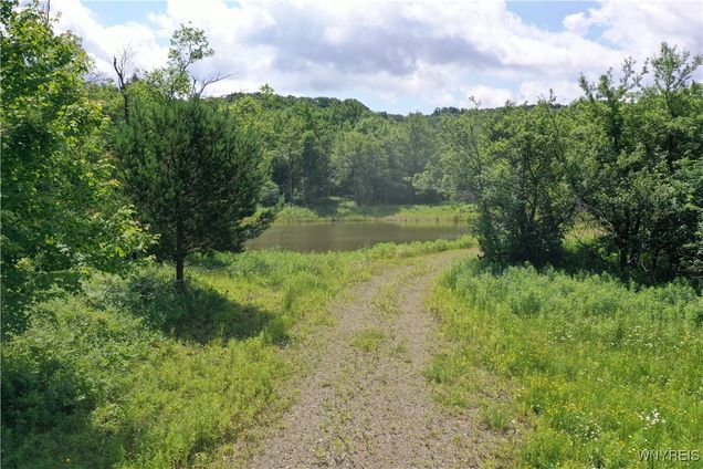 7475 Dublin Road Mansfield, NY Plot of land Active - Photo 1 of 21. Opens carousel modal
