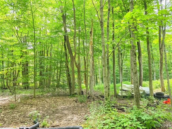 6891 Mount Monroe Road Unit C New Hudson, NY Plot of land Active - Photo 1 of 6. Opens carousel modal