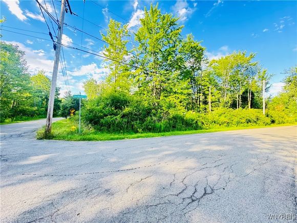 0 Sycamore Street Evans, NY Plot of land Active - Photo 1 of 9. Opens carousel modal
