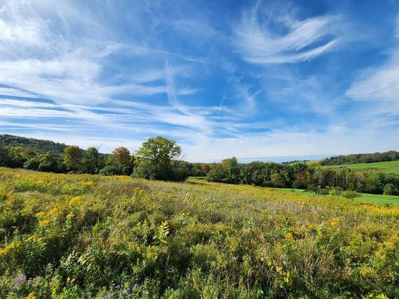 0 Beardsley Hollow Road Veteran, NY Plot of land Sold - Photo 1 of 5. Opens carousel modal