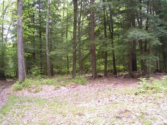 370 County Highway 38 Worcester, NY Plot of land Sold - Photo 1 of 3. Opens carousel modal