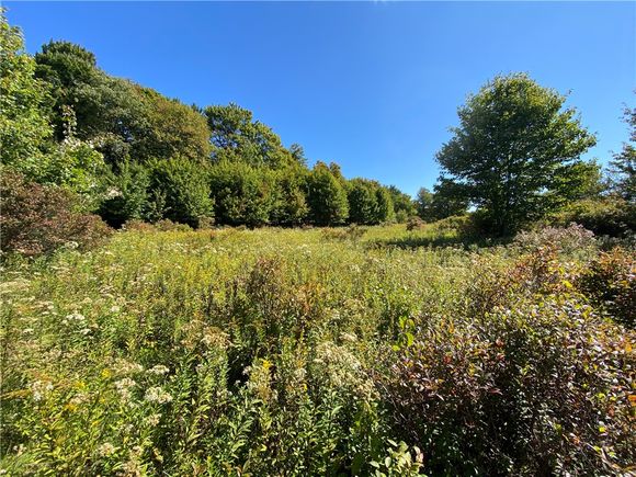 0 Rennie Lane Hamden, NY Plot of land Sold - Photo 1 of 31. Opens carousel modal