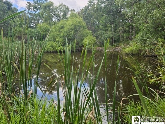 5162 Whig Street Little Valley, NY Land Active - Photo 1 of 21. Opens carousel modal