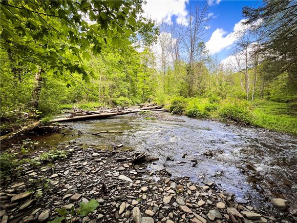 Oak Hill Road Catharine, NY Plot of land Pending - Photo 1 of 43. Opens carousel modal