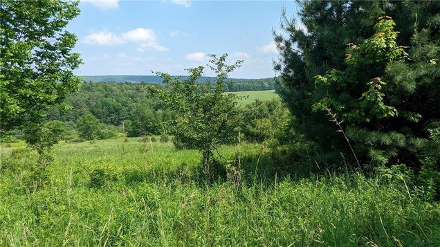Hubbard Hill Road Maryland, NY Plot of land Pending - Photo 1 of 13. Opens carousel modal