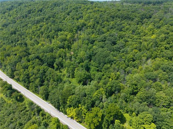 7080 Conesus Springwater Road Conesus, NY Plot of land Active - Photo 1 of 14. Opens carousel modal