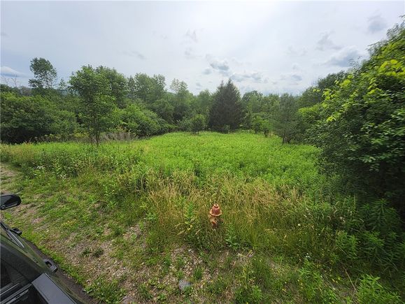 108 Scott Ave Avenue Wellsville, NY Plot of land Active - Photo 1 of 4. Opens carousel modal