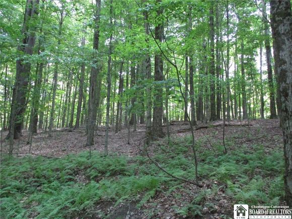Snowball Hollow Road Scio, NY Plot of land Active - Photo 1 of 17. Opens carousel modal
