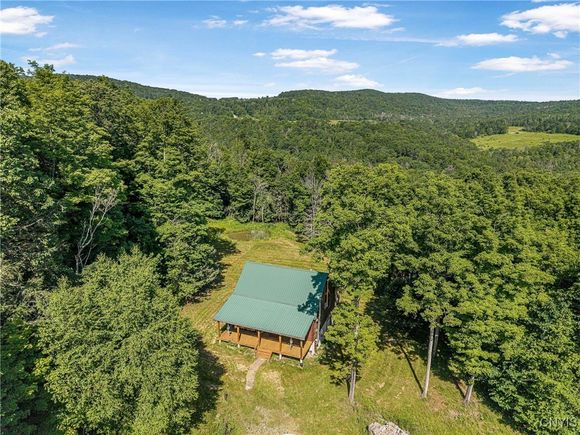 4902 Mcmaster Road Cameron, NY Plot of land Active - Photo 1 of 49. Opens carousel modal