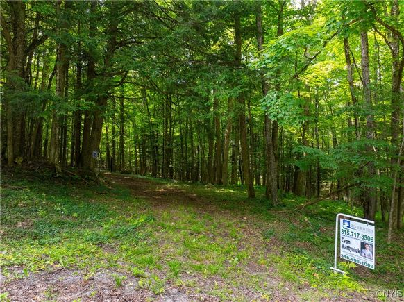 Voorhees Road Oppenheim, NY Plot of land Active - Photo 1 of 15. Opens carousel modal