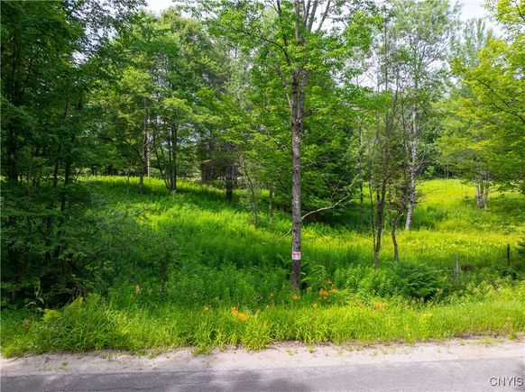 Hadcock Road Stratford, NY Plot of land Active - Photo 1 of 20. Opens carousel modal
