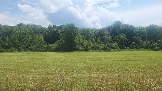 Lot 3 Co Rte 91 Ellisburg, NY Plot of land Active - Photo 1 of 5. Opens carousel modal