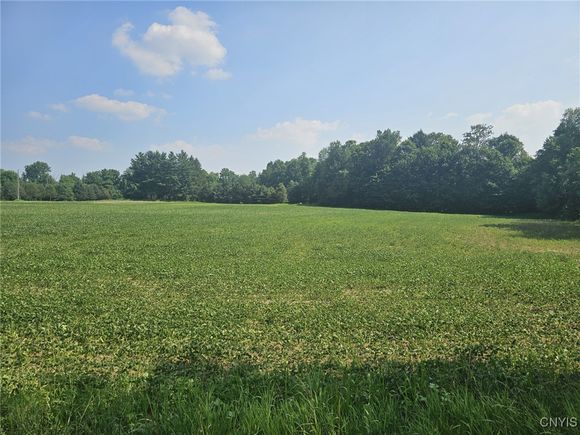 Clinton Road Brutus, NY Plot of land Active - Photo 1 of 10. Opens carousel modal