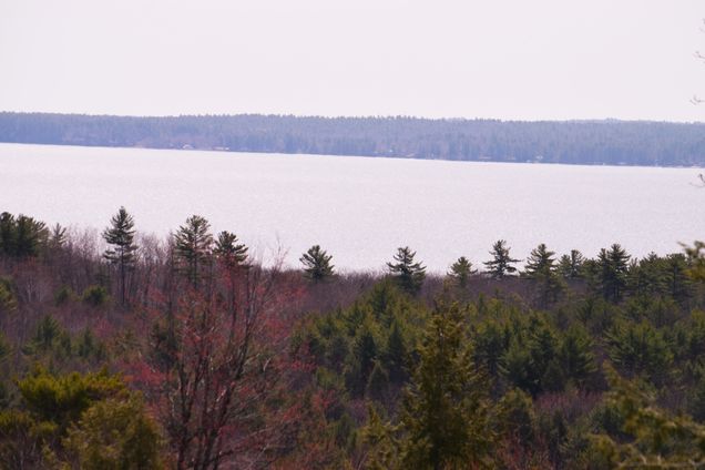 Lot 8 Gregory Pines Drive Sebago, ME Plot of land Sold - Photo 1 of 14. Opens carousel modal