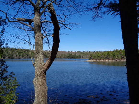18 Shaw Road Westport Island, ME House Sold - Photo 1 of 43. Opens carousel modal
