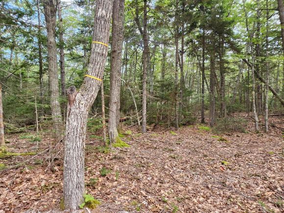 36 Eastwood Court Bristol, ME Plot of land Sold - Photo 1 of 1. Opens carousel modal