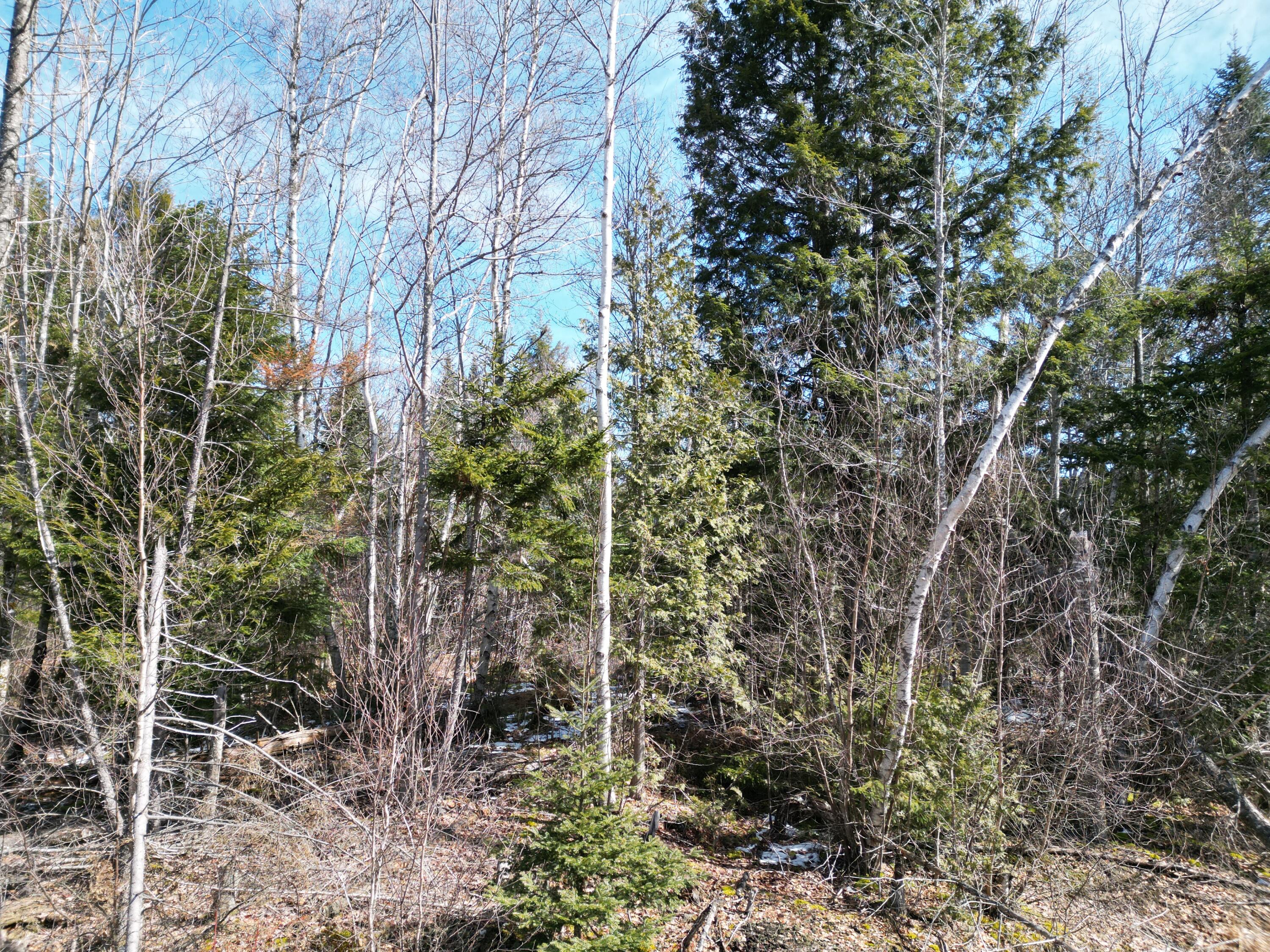 Lot 2 3 Main Rd  