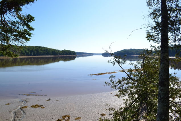 Lot 1 Foster Lane Dennysville, ME Plot of land Sold - Photo 1 of 37. Opens carousel modal