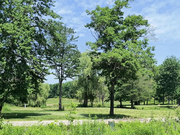 000 Birchwood Terrace Pittsfield, ME Land Active - Photo 1 of 8. Opens carousel modal