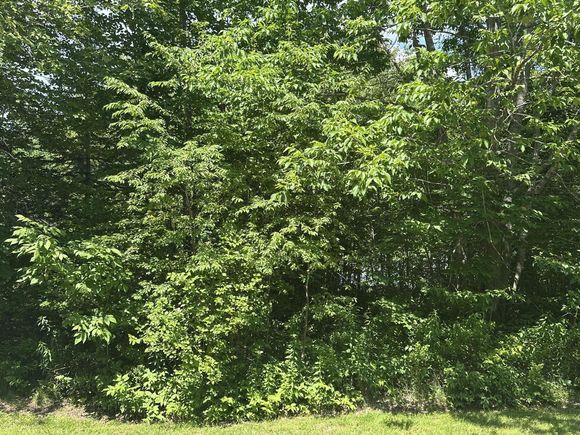 Lot #3 Peaslee Road Road Hancock, ME Plot of land Active - Photo 1 of 1. Opens carousel modal